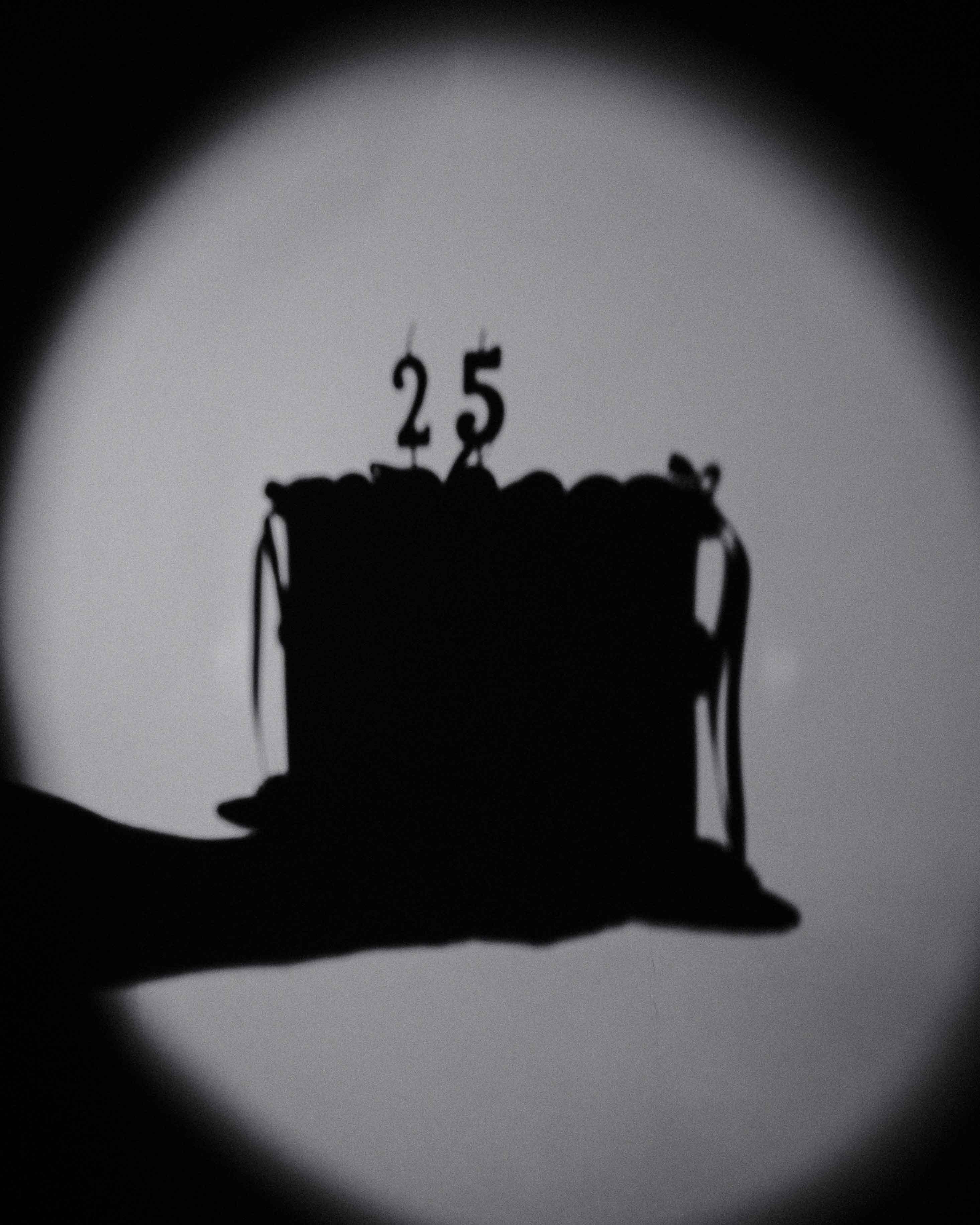 25Y_Carousel_Tuerchen_1_DE