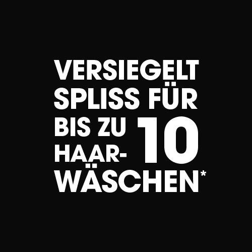 Icon Versiegelte Spitzen