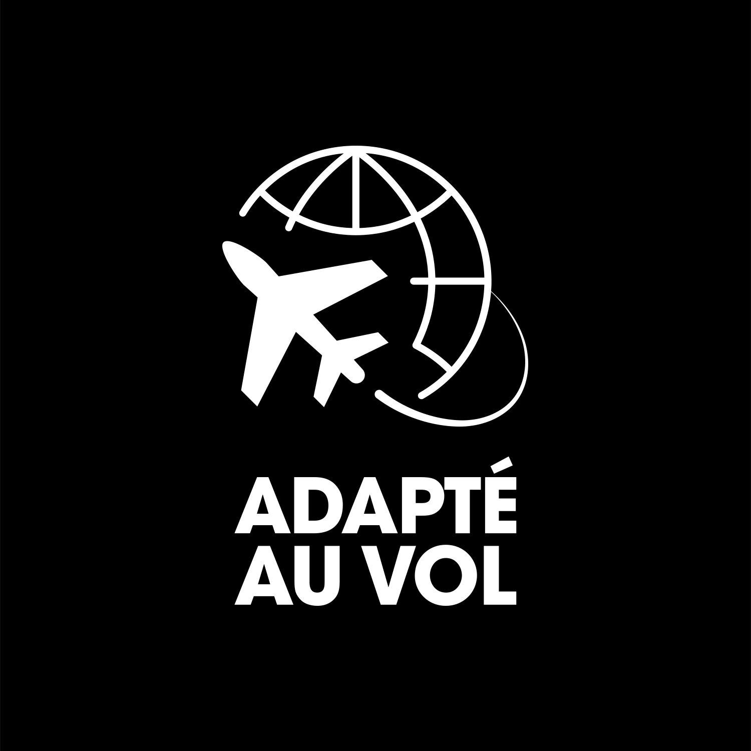 Adapté aux voyages en avion