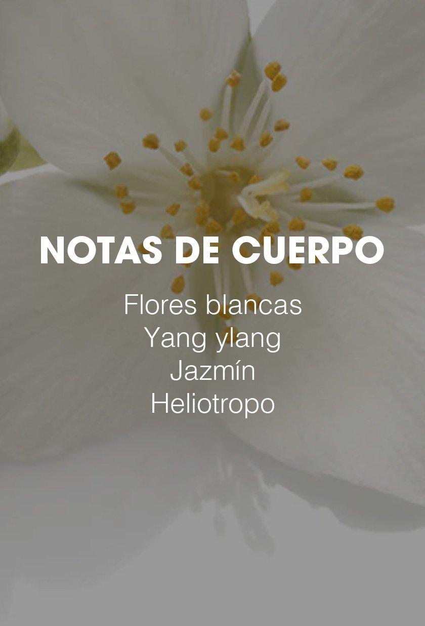 CP_HPS_Notas_Carrusel_2_ES