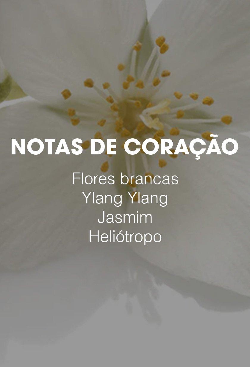 Campaign Page_Carrousel 2