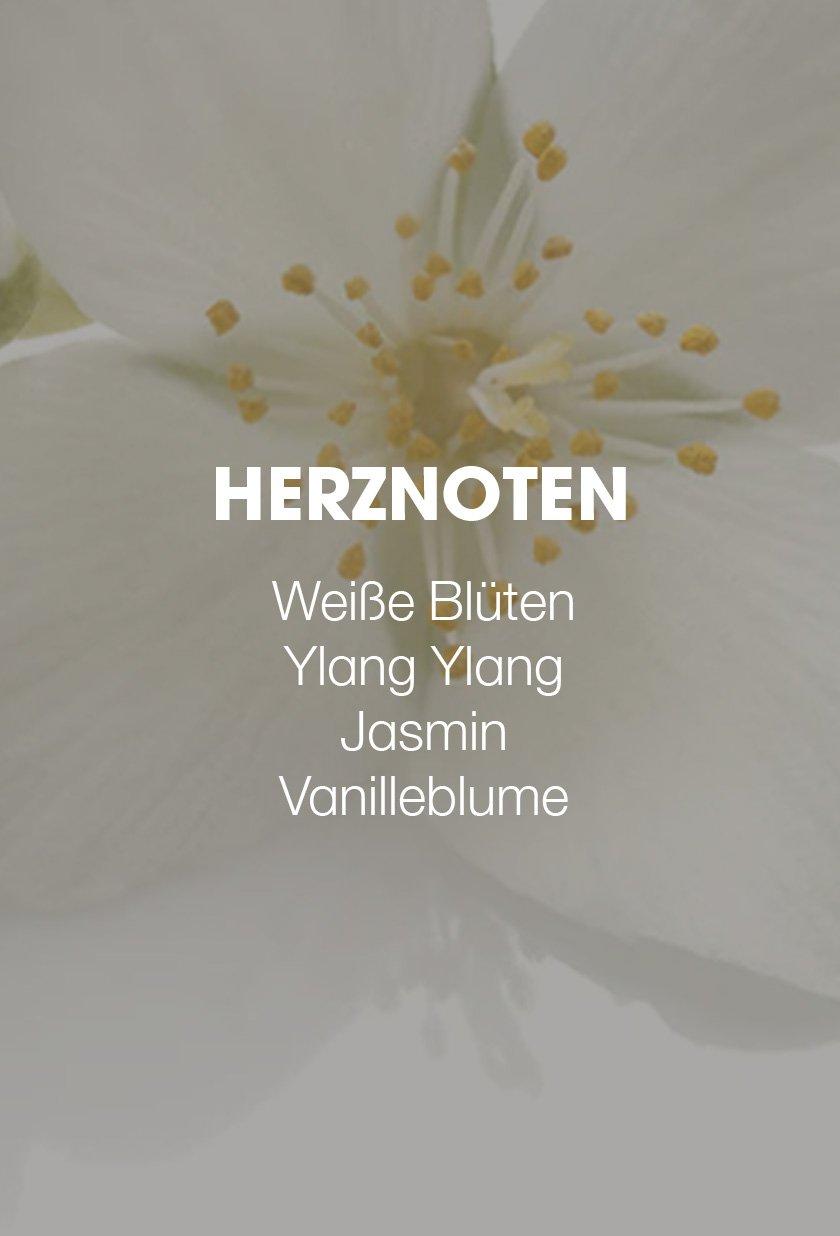Herznoten des beliebten ghd Scents