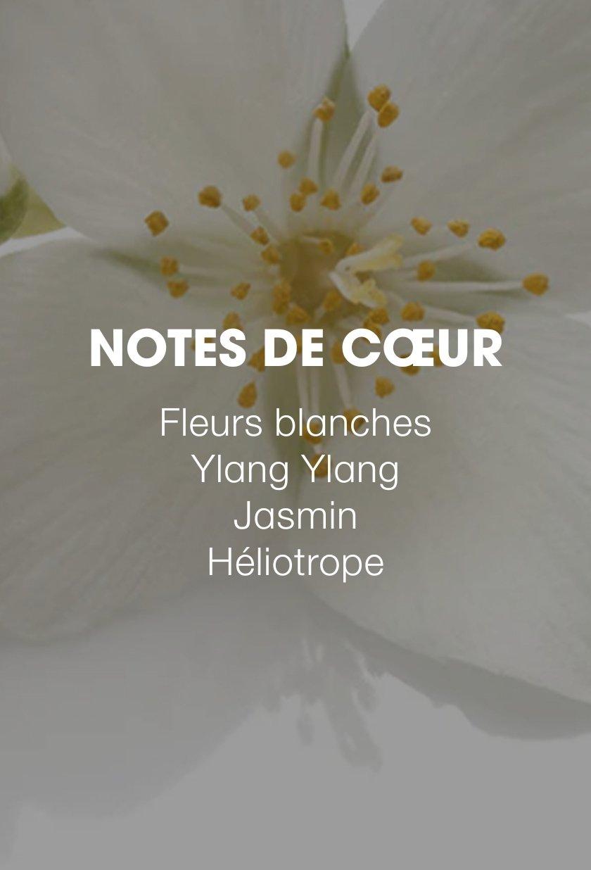 ExpertsOfStyling_Heart_Notes_FR