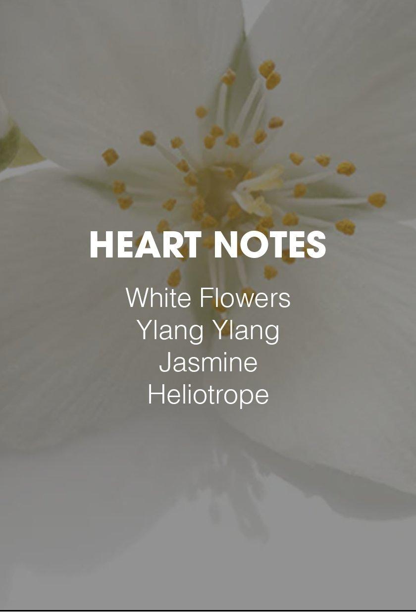 ExpertsOfStyling_Heart_Notes_UK