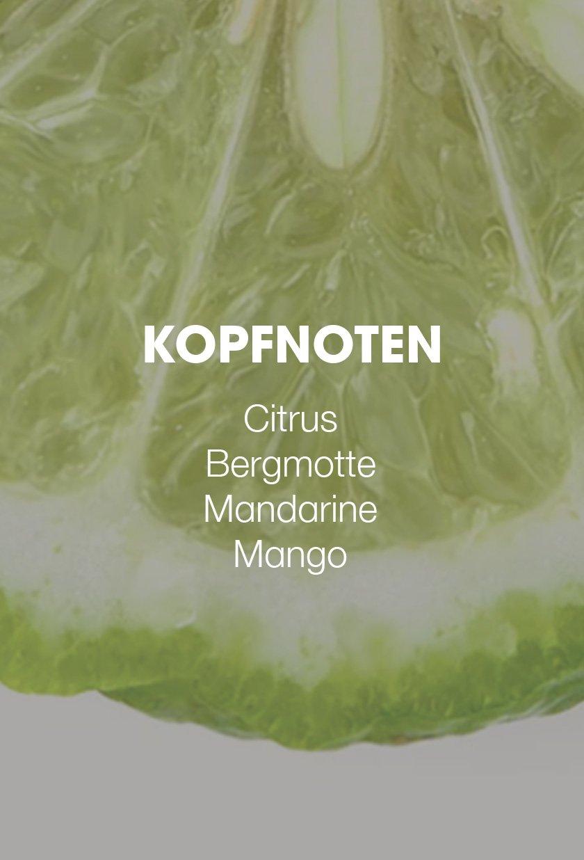 Kopfnoten des unverwechselbaren ghd Geruchs