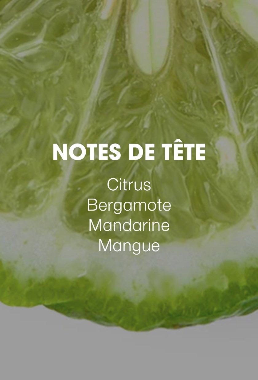 ExpertsOfStyling_Top_Notes_FR