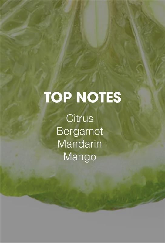 ExpertsOfStyling_Top_Notes_za