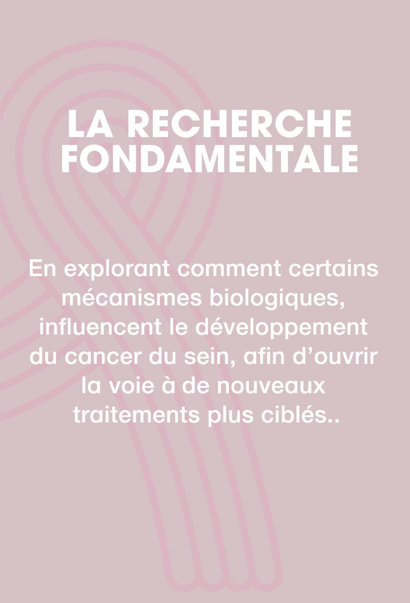 Pink25_CampaignPage_Carousel_1_FR.jpg